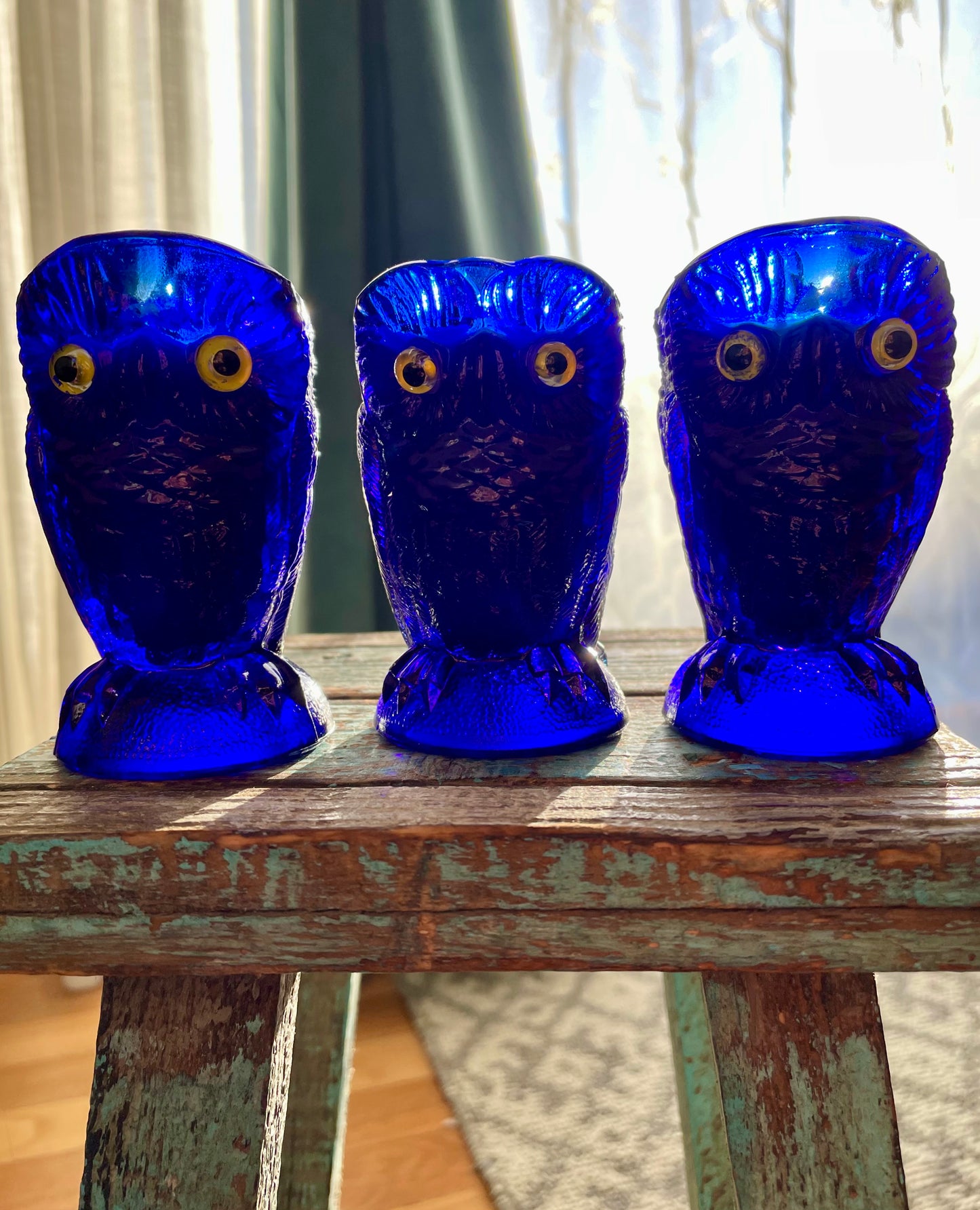Cobalt Owl