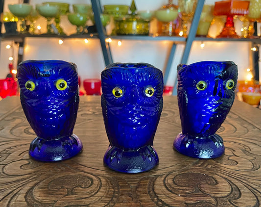 Cobalt Owl