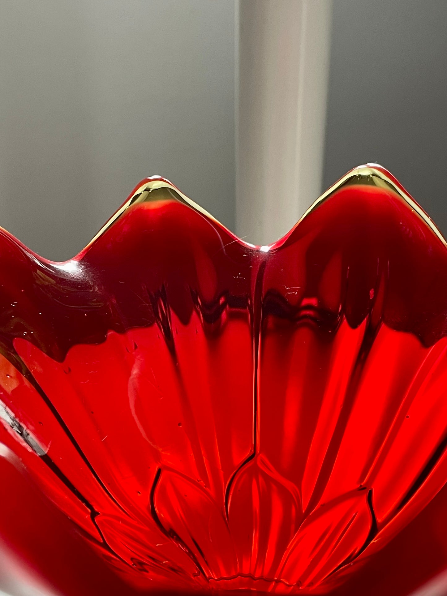 Ruby Amberina Lotus